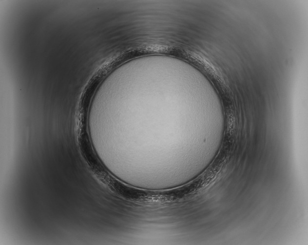 X0000093410736200711091359