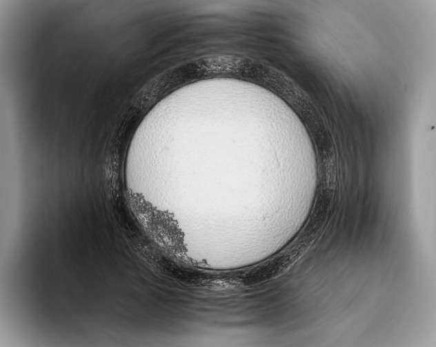 X0000093410737200711091359