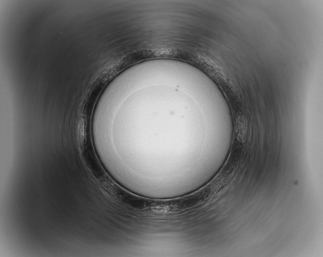 X0000093410740200711091359