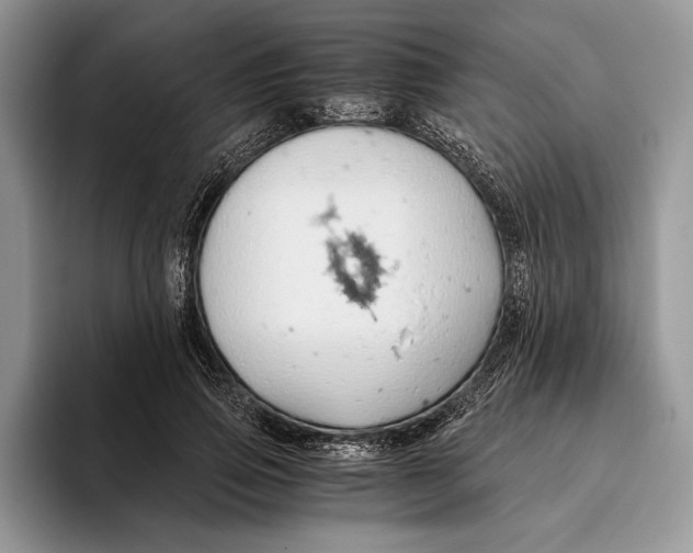 X0000093410741200711091359