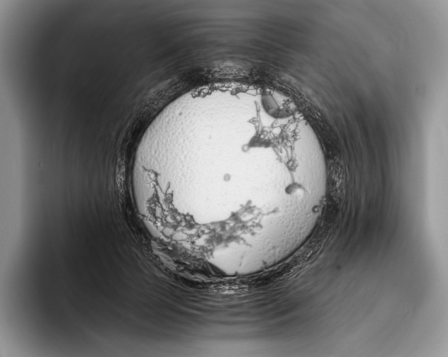 X0000093410745200711091359