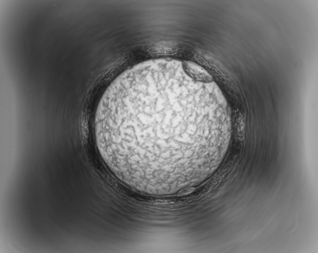 X0000093410746200711091359