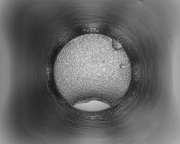 X0000093410747200711091359