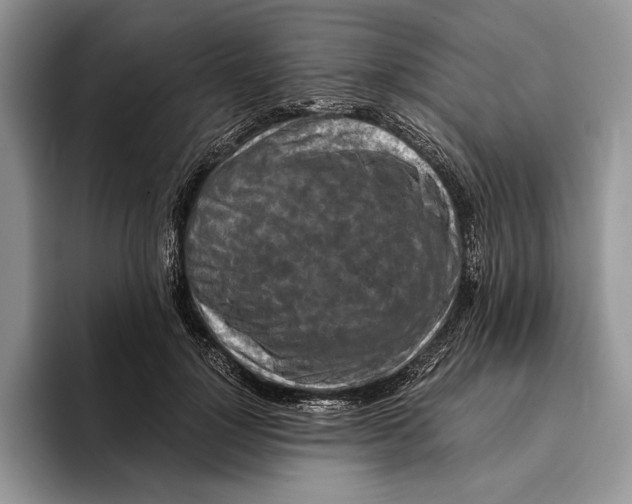 X0000093410748200711091359