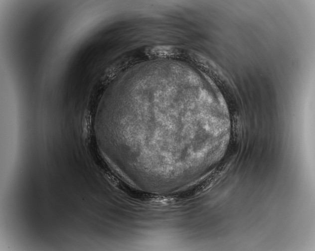 X0000093410760200711091359