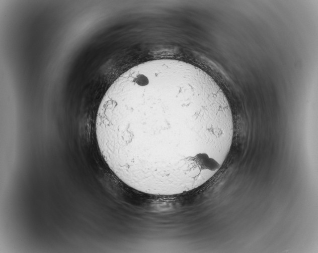 X0000093410761200711091359