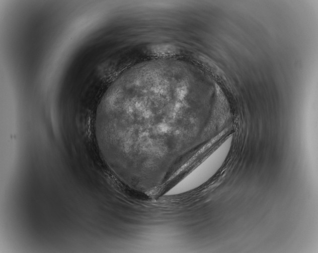 X0000093410762200711091359