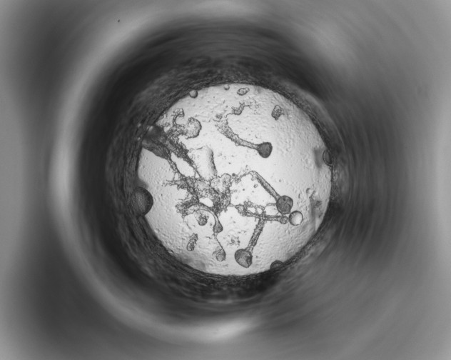 X0000093410765200711091359