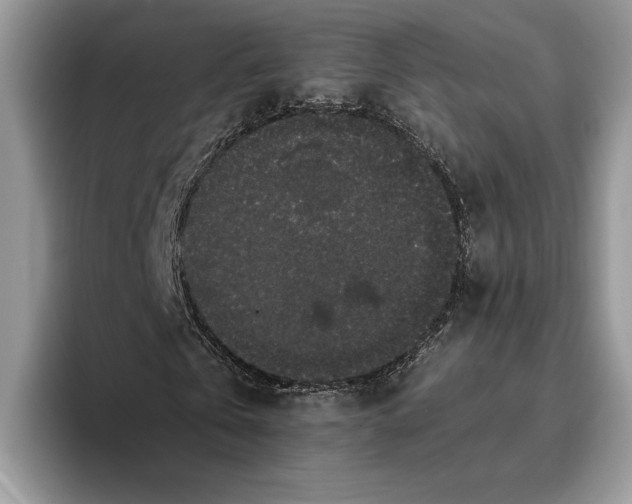 X0000093410769200711091358