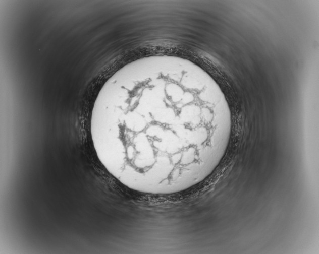 X0000093410774200711091358