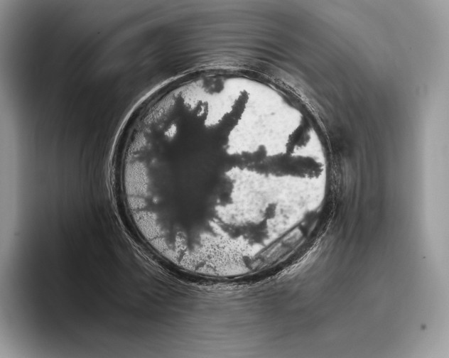 X0000093410779200711091358