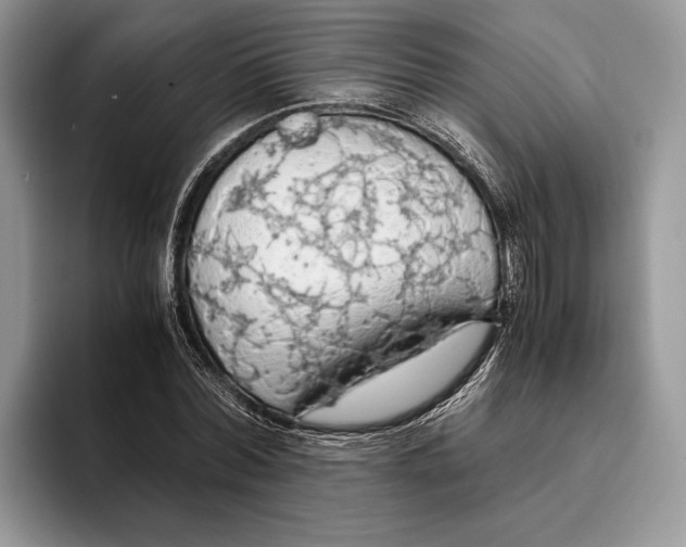 X0000093410780200711091358