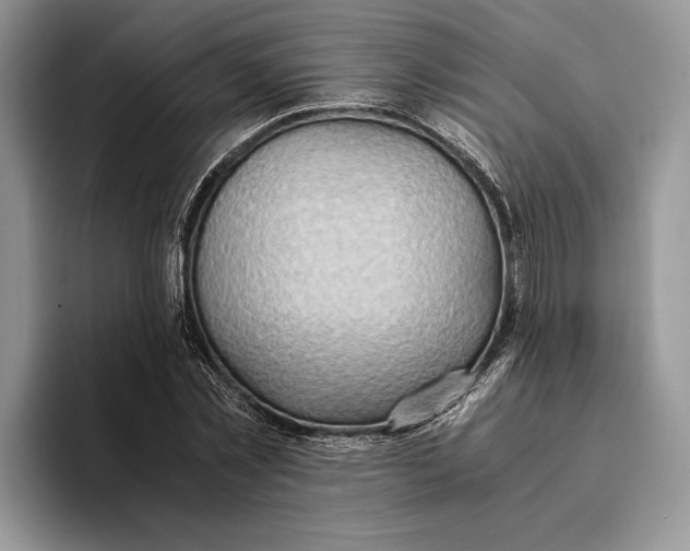 X0000093410781200711091358