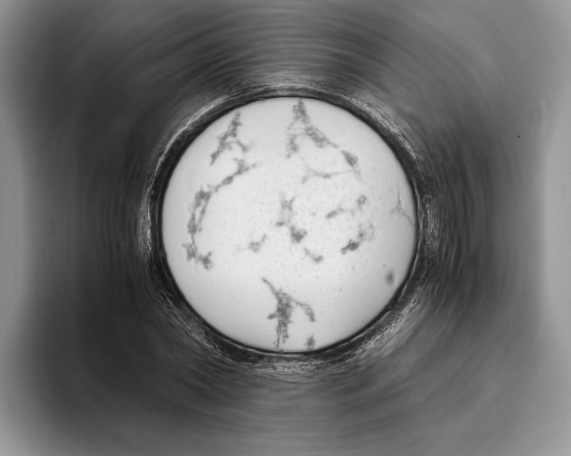 X0000093410782200711091358