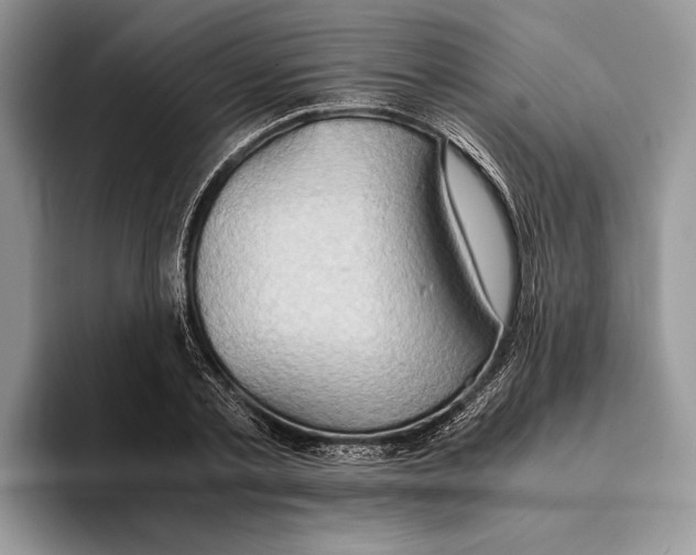 X0000093410789200711091358