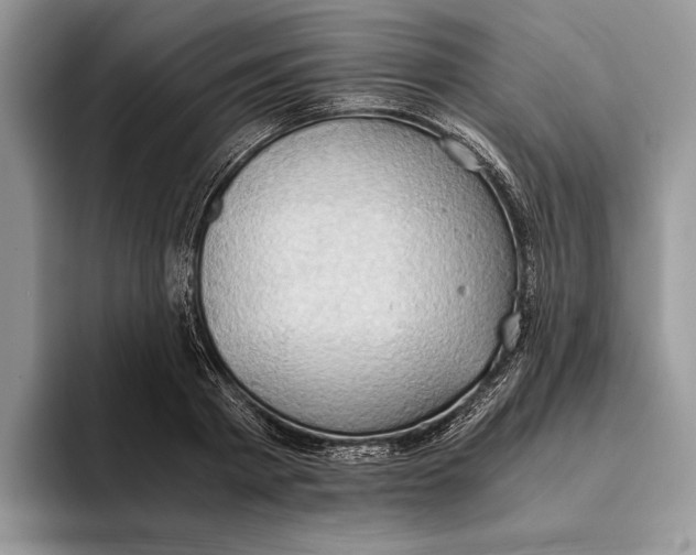 X0000093410793200711091358