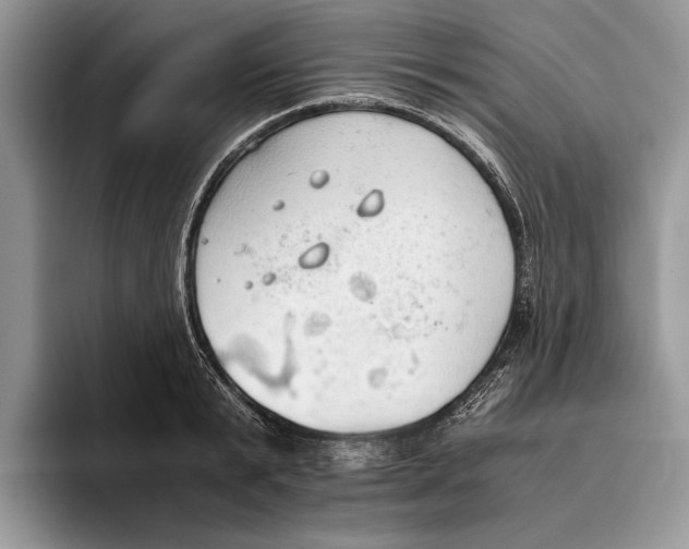 X0000093410799200711091358