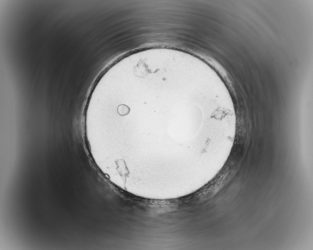 X0000093410807200711091358