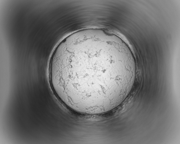 X0000093410811200711091358