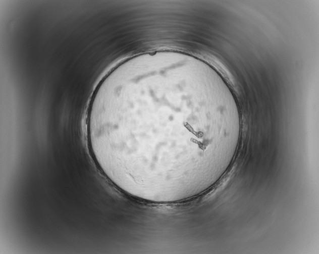 X0000093410814200711091358