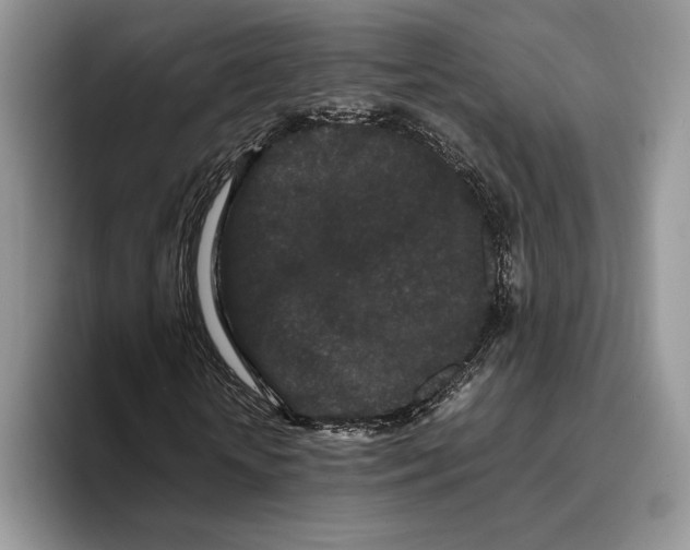 X0000093410818200711091357