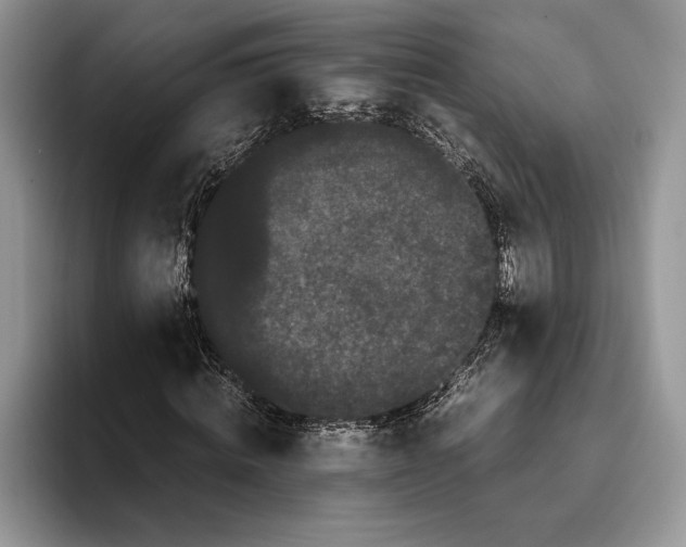 X0000093410820200711091357