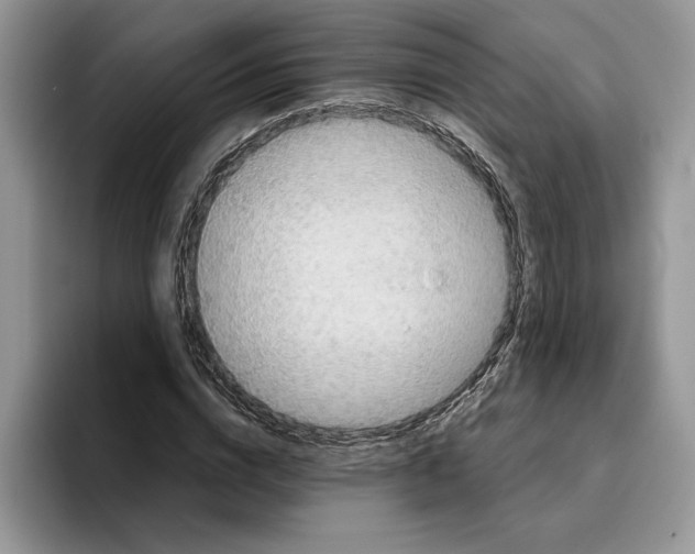 X0000093410824200711091357