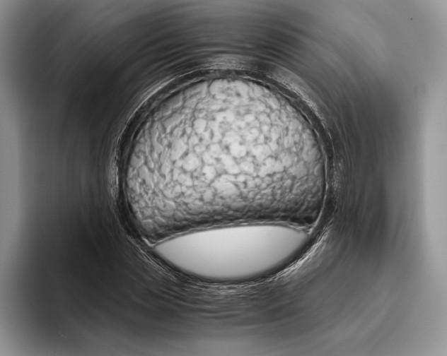 X0000093410829200711091357