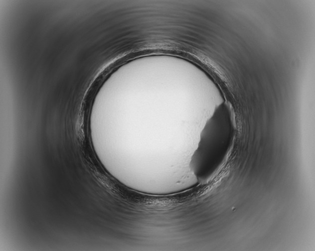 X0000093410830200711091357