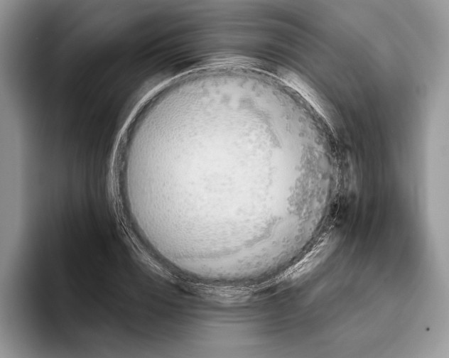 X0000093410832200711091357