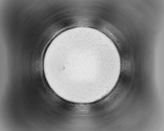 X0000093410836200711091357