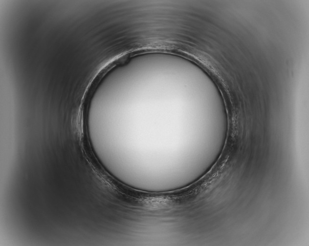 X0000093410838200711091358