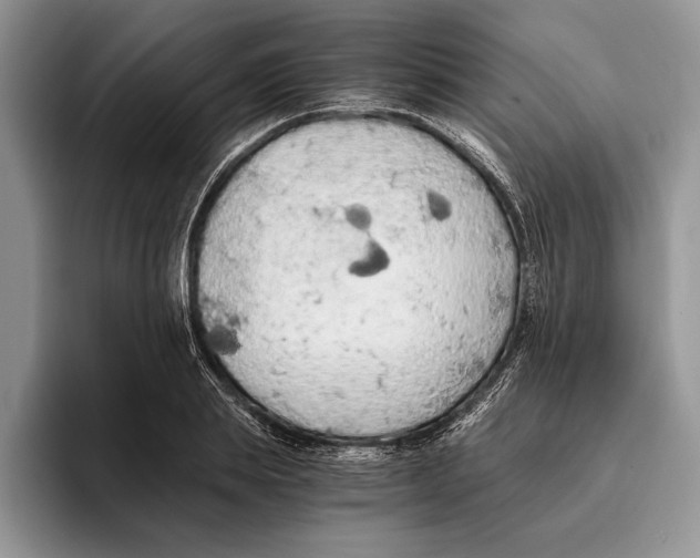 X0000093410839200711091358