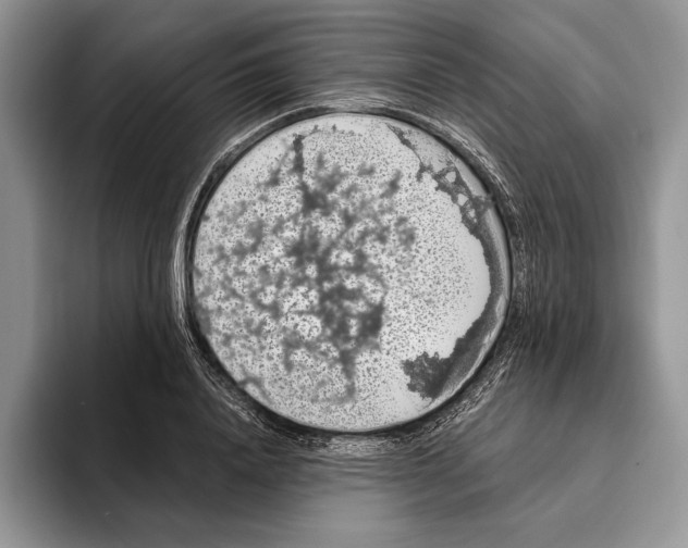 X0000093410840200711091358