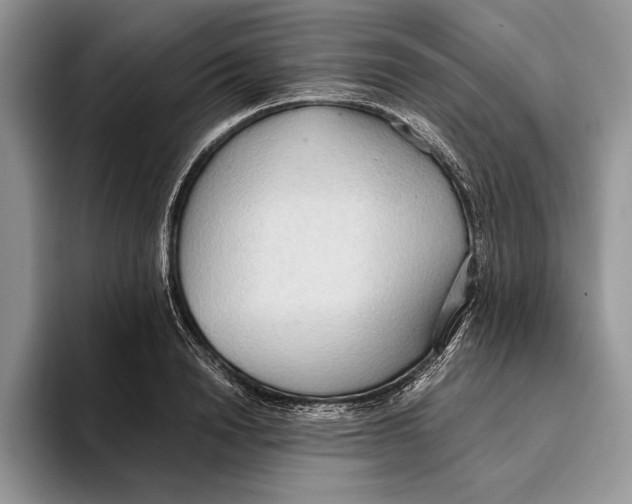 X0000093410846200711091358