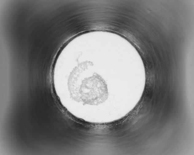 X0000093410848200711091358