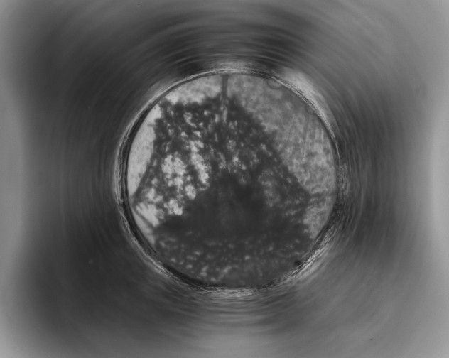 X0000093410851200711091358