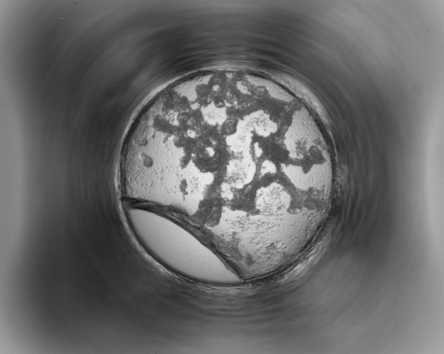 X0000093410855200711091358