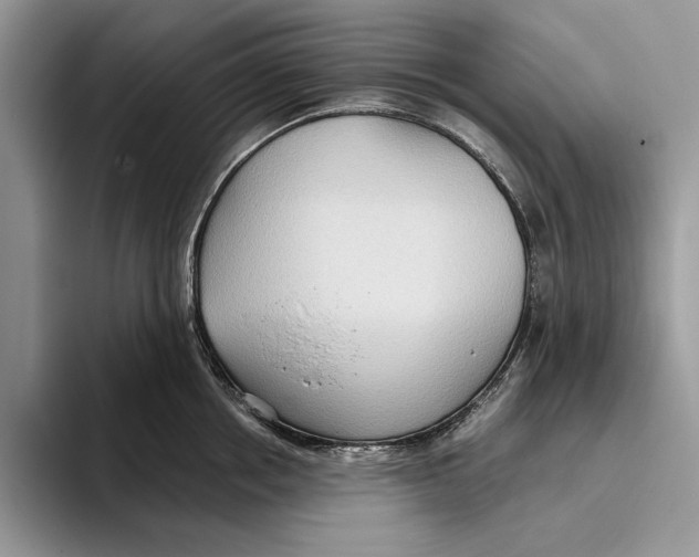 X0000093410858200711091358