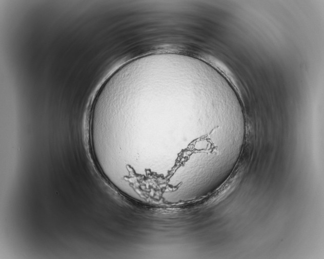 X0000093410859200711091358