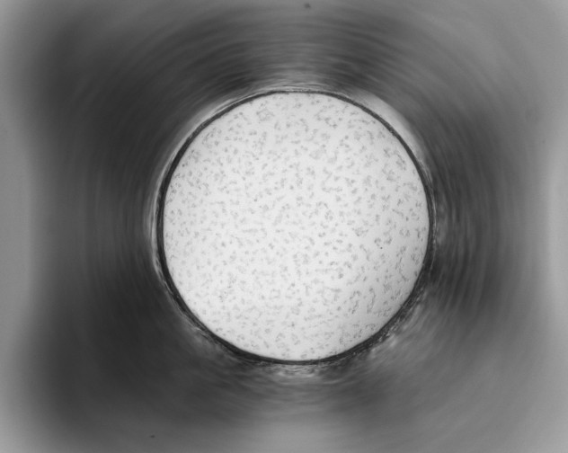 X0000093410861200711091358