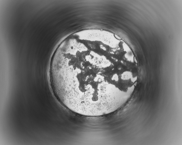 X0000093410863200711091358