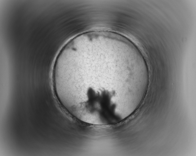 X0000093410864200711091358