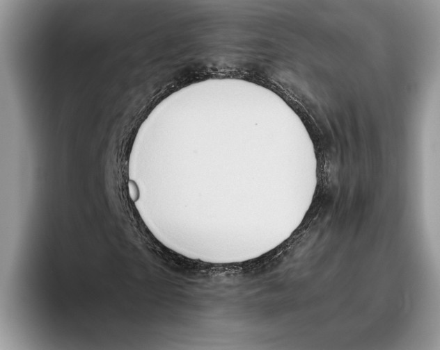 X0000093410865200711091357