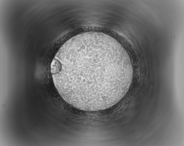 X0000093410870200711091357