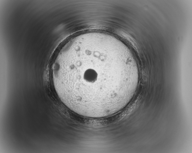 X0000093410875200711091357