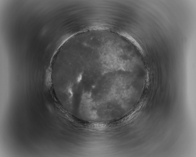 X0000093410878200711091357