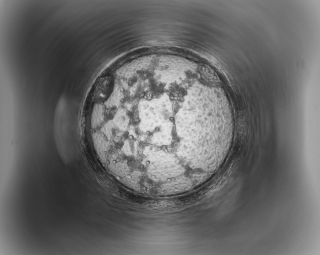 X0000093410879200711091357