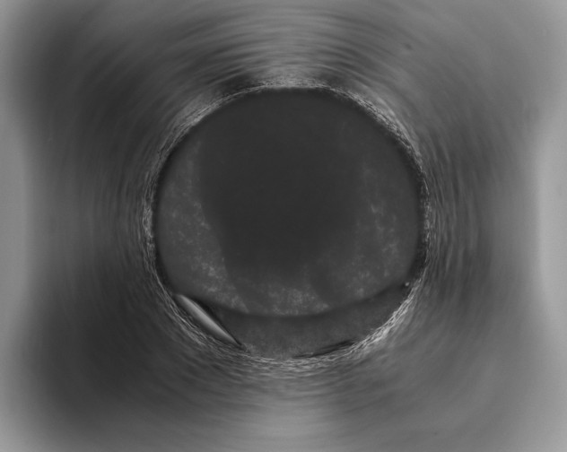 X0000093410881200711091357