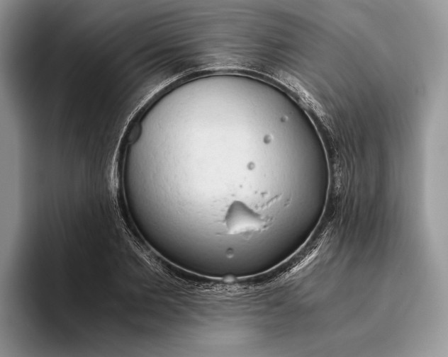 X0000093410885200711091357